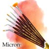 Micron